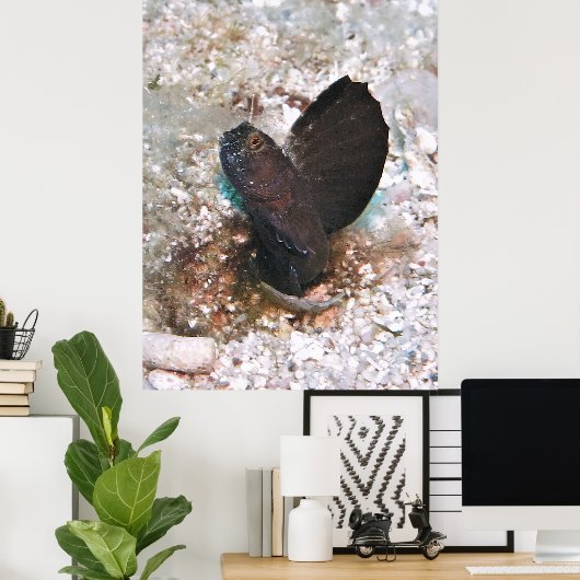 Sailfin Blenny Poster (Heimbüro)