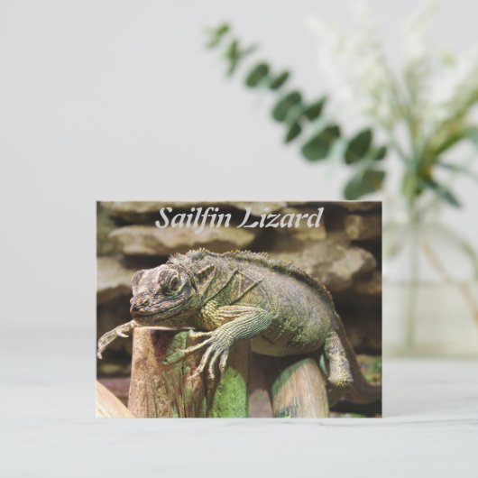 Sailfin Lizard Postkarte (Stehend Vorderseite)