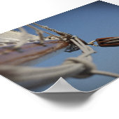 Sailing Jib Poster (Ecke)
