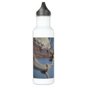 Sailing Jib Trinkflasche (Links)