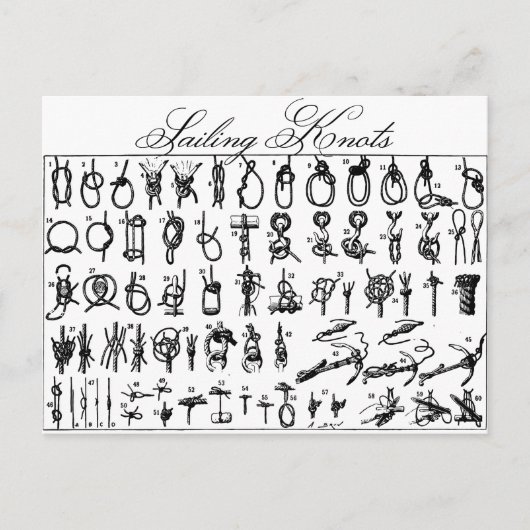 Sailing Knots Postkarte (Vorderseite)