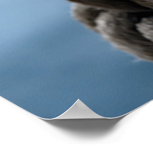 Sailor-Knoten Poster (Ecke)