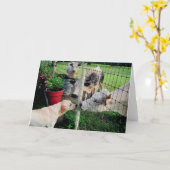 Sailor & pals karte (Gelbe Blume)