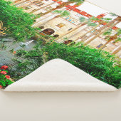 Saint Augustine Florida Lightner Museum & Garden Sherpadecke (3/4)