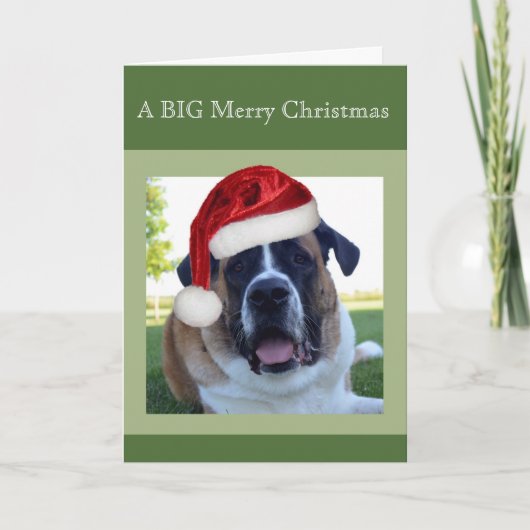 Saint Bernard "Big" Frohe Weihnachten (Vorderseite)