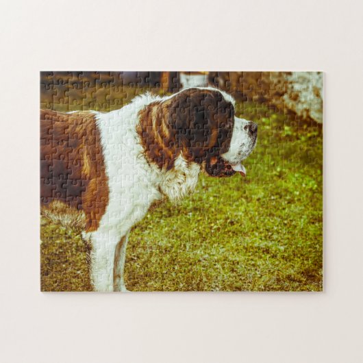Saint Bernard Dog Jigsaws. Puzzle (Horizontal)