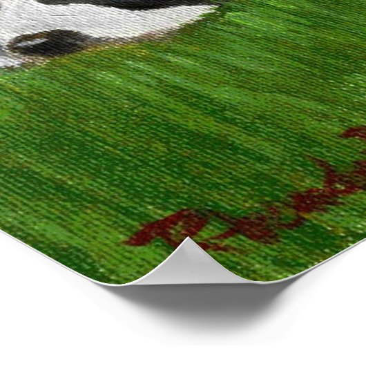 Saint Bernard Dog Portrait Poster (Ecke)