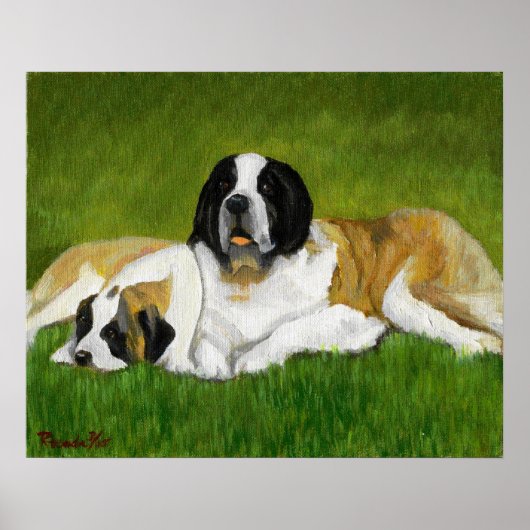 Saint Bernard Dog Portrait Poster (Vorne)