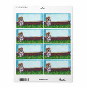 Saint Bernard Dog Shipping Labels (Vorne)