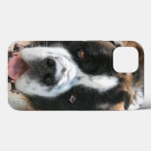 Saint Bernard Face Case-Mate iPhone Hülle (Rückseite (Horizontal))