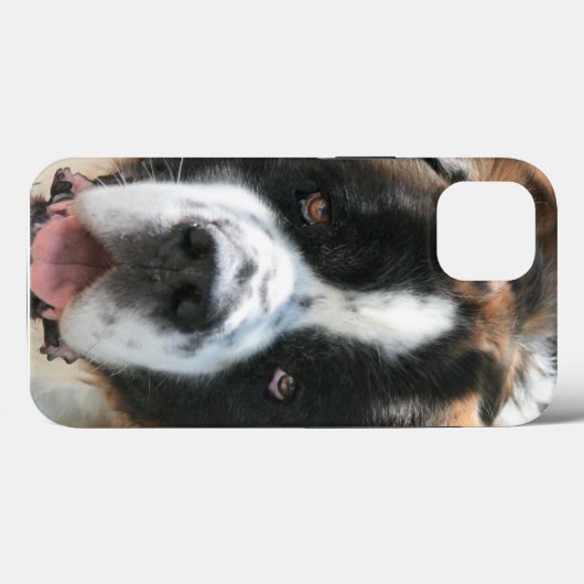 Saint Bernard Face Case-Mate iPhone Hülle (Rückseite (Horizontal))