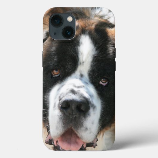 Saint Bernard Face Case-Mate iPhone Hülle (Rückseite)