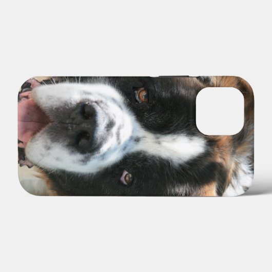 Saint Bernard Face Case-Mate iPhone Hülle (Rückseite (Horizontal))