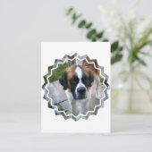 Saint Bernard Foto Postcard Postkarte (Stehend Vorderseite)
