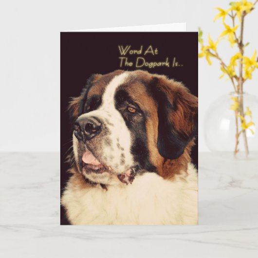 Saint Bernard Geburtstagskarte Karte (Gelbe Blume)