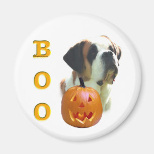 Saint Bernard (glatt) Boo Magnet