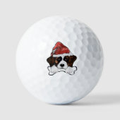 Saint Bernard  Golfball (Vorderseite)