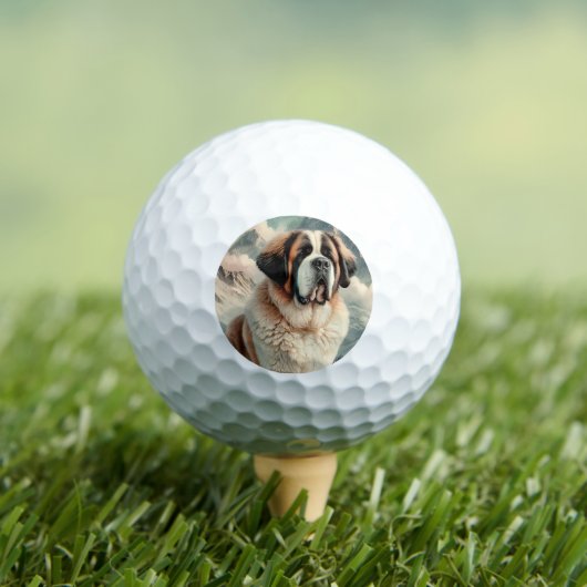 Saint Bernard Golfball (Insitu T-Shirt)