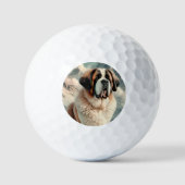 Saint Bernard Golfball (Vorderseite)