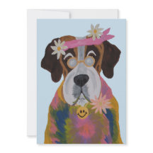 Saint Bernard Hippie
