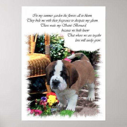 Saint Bernard Kunstgeschenke Poster (Vorne)