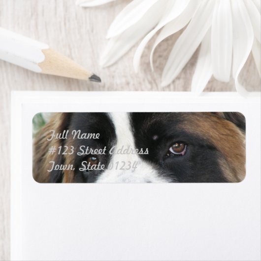 Saint Bernard Mailing Label (Insitu)