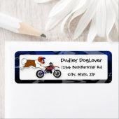 Saint Bernard Motocross (Insitu)