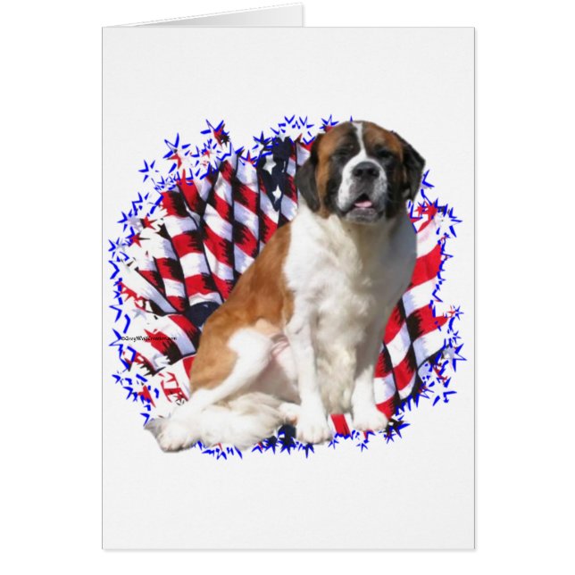 Saint Bernard Patriot (Vorne)