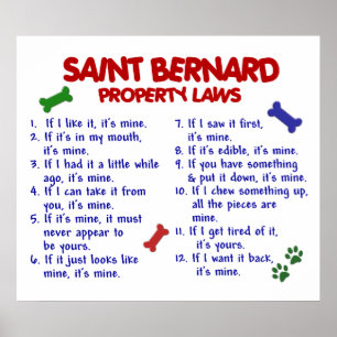 SAINT BERNARD PL2 POSTER