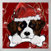 Saint Bernard Poster (Vorne)