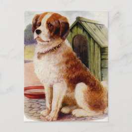 Saint Bernard Postkarte