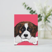 Saint Bernard Postkarte (Stehend Vorderseite)