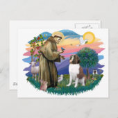 Saint Bernard Postkarte (Vorne/Hinten)