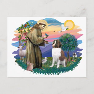 Saint Bernard Postkarte