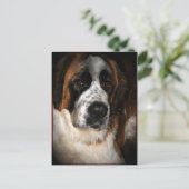 Saint Bernard Postkarten 2 (Stehend Vorderseite)