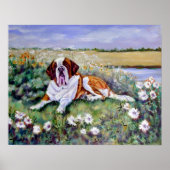 Saint Bernard Print Poster (Vorne)