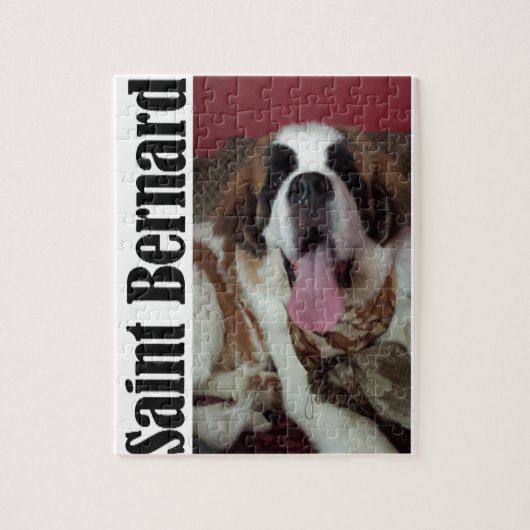 Saint Bernard Puzzle (Vertikal)