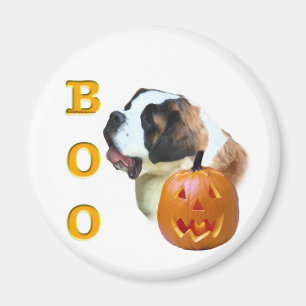 Saint Bernard (Rough) Boo Magnet