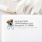 Saint Bernard Sauber und einfach (Insitu)