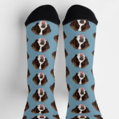 Saint Bernard Socken (Oben)