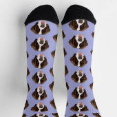 Saint Bernard Socken (Oben)