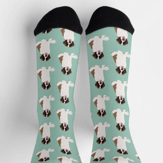Saint Bernard Socken (Oben)