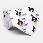 Saint Bernard Trick Krawatte (Gerollt)