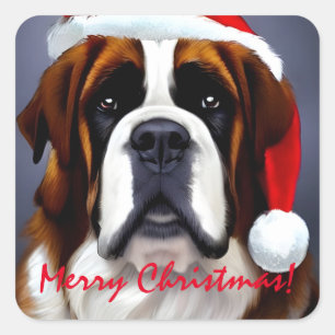 Saint Bernard Weihnachten Quadratischer Aufkleber