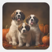 Saint Bernard Welppy Herbst Kürbis Quadratischer Aufkleber (Vorderseite)