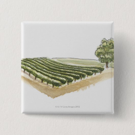 Saint-Emilion, Frankreich Button (Vorderseite)