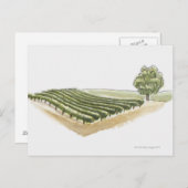 Saint-Emilion, Frankreich Postkarte (Vorne/Hinten)