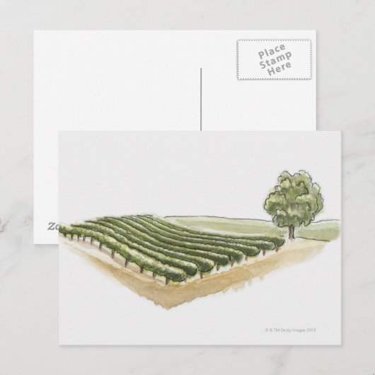 Saint-Emilion, Frankreich Postkarte (Vorne/Hinten)