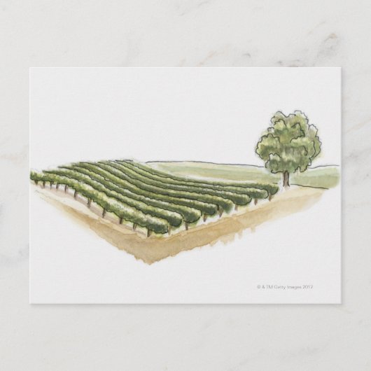 Saint-Emilion, Frankreich Postkarte (Vorderseite)