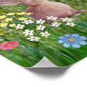 Saint Francis Blessing Ten Hogs Poster (Ecke)